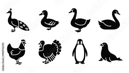 A collection of various bird and fowl icons displayed in a flat black style creating a striking silhouette high quality professional