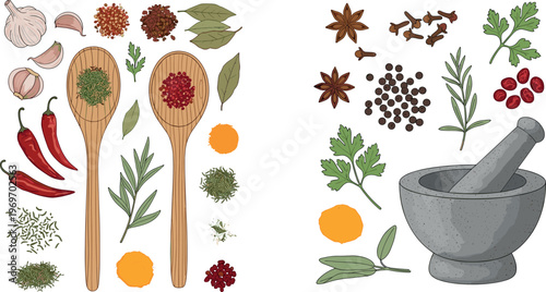 Herbs and Spices Collection with Wooden Spoons, Mortar, Garlic, Chili, and Seasonings for Culinary and Cooking Designs