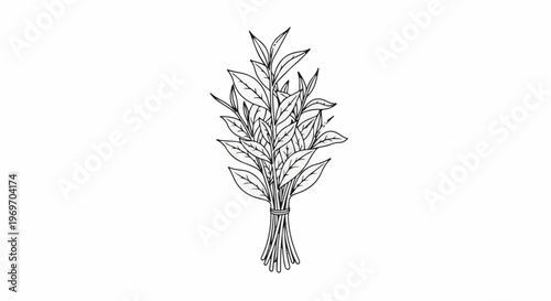 Delicate line drawing of a bundle of green leaves tied together