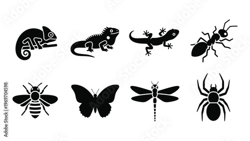 A collection of various reptile and insect silhouettes arranged in a horizontal line showcasing distinct animal forms silhouette high quality professional