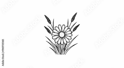 Delicate outline illustration of a daisy with surrounding grass and wheat stalks