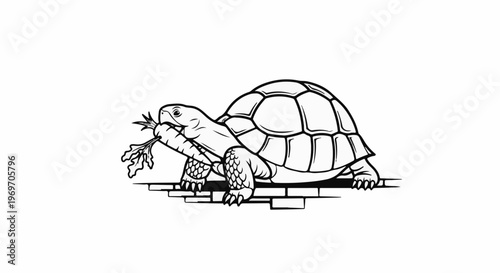 Cartoon tortoise munching on a carrot, standing on brickwork