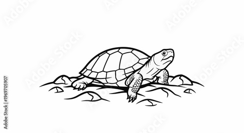 Black and white line art of a turtle on textured ground