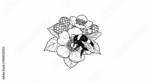 Black and white line drawing of a bumblebee on a cluster of berries and flowers