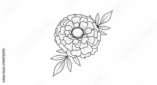 Black and white line drawing of a fully bloomed flower with leaves