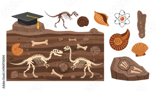 Colorful cartoon fossil set with dinosaur bones ammonites and shells for paleontology education design