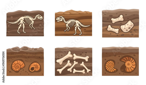 Paleontology fossil illustration with dinosaur skeletons ammonites and buried shells in ground sections