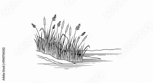 Black and white sketch of cattails on a shoreline with calm water