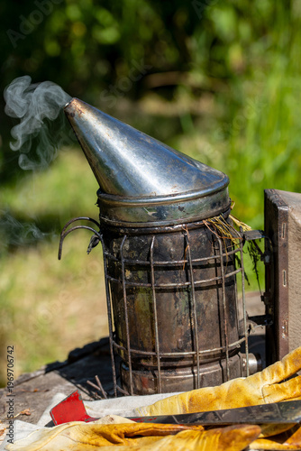 Apiculture - enfumoir posé sur un tronc pendant la visite sanitaire d'une ruche par l'apiculteur