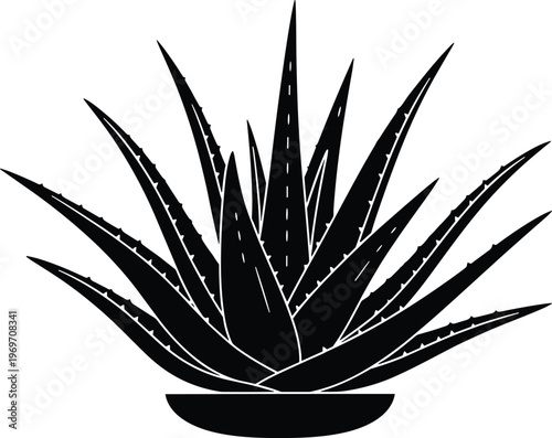 Black Aloe Vera Plant Icon with Long Spiky Leaves, Vector Illustration of a Succulent