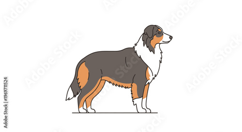 Stylized vector illustration of an Australian Shepherd dog standing in profile with tricolor fur on a white background.