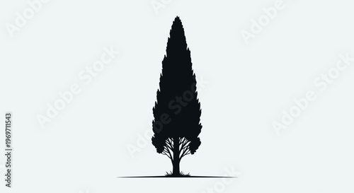A striking silhouette of a tall, slender cypress tree against a plain, light gray background, with a subtle shadow cast on the ground.