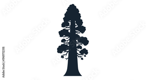 Dark silhouette of a tall, majestic coniferous tree, possibly a redwood or sequoia, standing vertically against a clean white background.