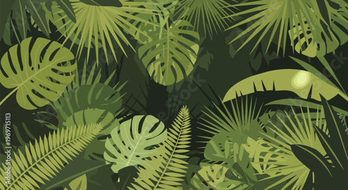 Tropical Jungle Foliage Background with Exotic Monstera and Palm Leaves