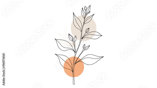 Elegant botanical line art illustration features a leafy branch with delicate buds over soft pastel colored circular shapes on white.