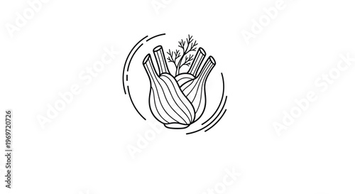 Black and white line art illustration of a fennel bulb with its leafy fronds framed by circular decorative lines.