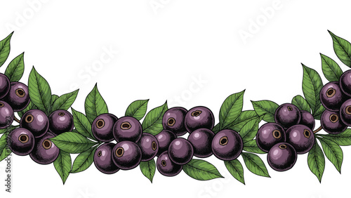 Decorative border or garland consists of dark purple acai berries and lush green leaves, ideal for healthy food and juice packaging.