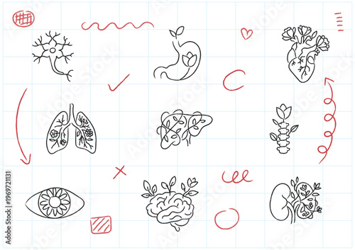 Hand-drawn doodle Charcoal texture of human internal organs intertwined with botanical plant elements