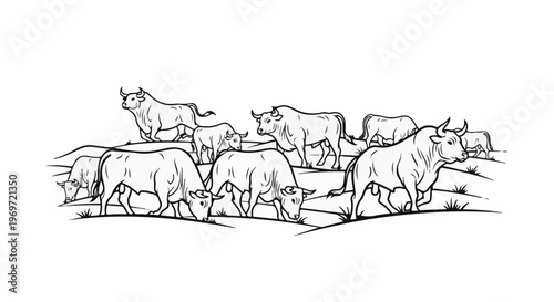 Herd of bulls grazing on rolling hills in a black and white illustration