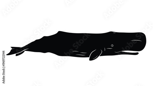 Striking black silhouette of a massive sperm whale showing its unique body shape and features against a clean white background for marine study.