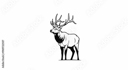 Majestic bull elk with large antlers, profile view, on white background
