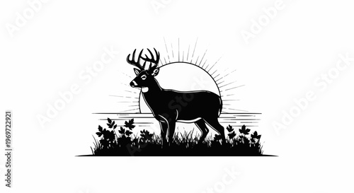 Majestic deer stands in tall grass by a sunburst over water