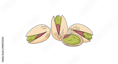 Detailed drawing of four pistachio nuts with their pale shells partially open to reveal the vibrant green and purple kernels inside for a snack.