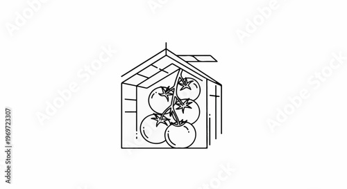 Greenhouse with hanging tomatoes