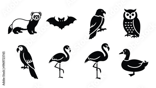 A collection of various animal silhouettes including a ferret bat owl parrot and flamingo silhouette high quality professional detailed modern elegant