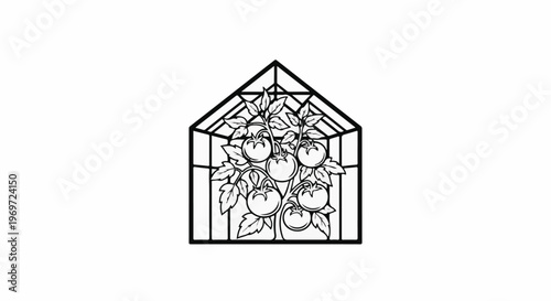 Greenhouse with ripening tomatoes