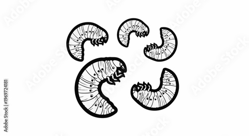 Five black and white illustrations of curved, segmented insect larvae with dots