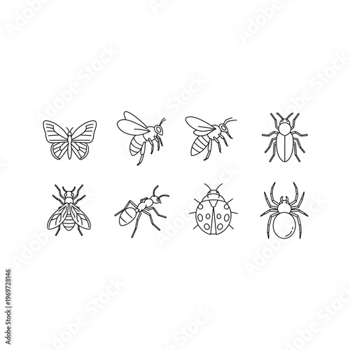 A group of insects including a butterfly and spiders