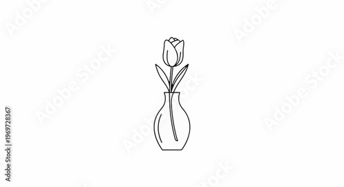 Simple line drawing of a single tulip in a vase