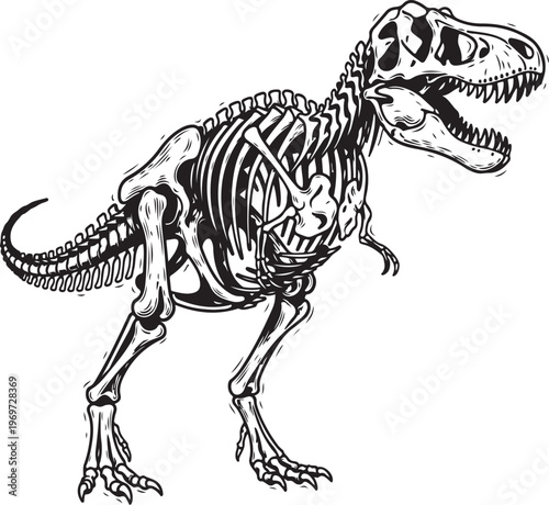 Anatomical illustration of a tyrannosaurus rex skeleton with visible internal organs hand drawing illustration vector