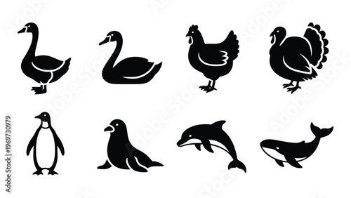 A collection of various bird and marine animal silhouettes including a goose swan penguin and dolphin silhouette high quality professional detailed