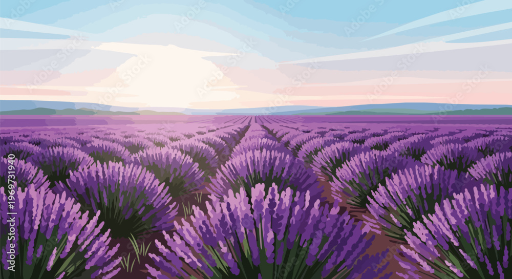 Obraz premium Vibrant Lavender Field Landscape at Sunset in Provence France