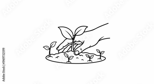 Hand planting seedling in soil, growing plants, fresh start