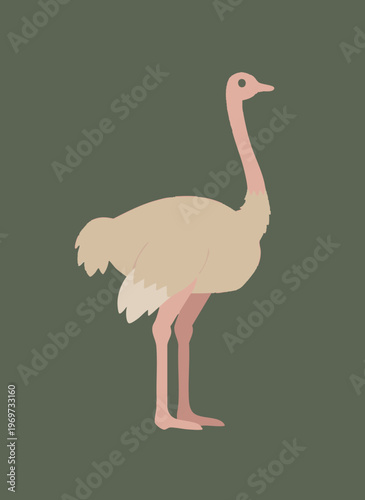 Ostrich standing profile simple flat design on dark green background.