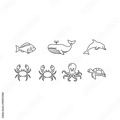 A group of sea creatures and fish