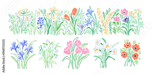 Spring flowers set. Doodle sketch style bloom, wildflower, blossom. Summer floral decoration and tulip, daffodil bouquets, crayon drawing. Hand-drawn vector illustrations isolated on white background
