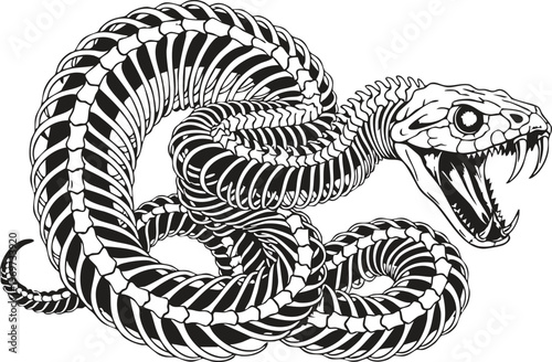 A detailed monochromatic illustration of a coiled snake skeleton with its sharp fangs exposed.