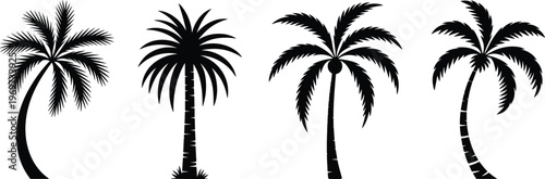 Stylized palm tree silhouettes collection with varied trunk shapes and frond patterns, tropical nature illustration set for summer, beach, vacation, travel, exotic design themes