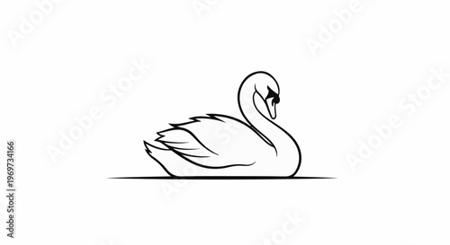 Elegant swan with graceful neck and detailed plumage, depicted in black and white