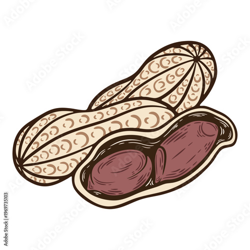 Peanut seeds in a pod, open nutshell, salty snack, colourful, hand-drawn illustration, line art contour, isolated