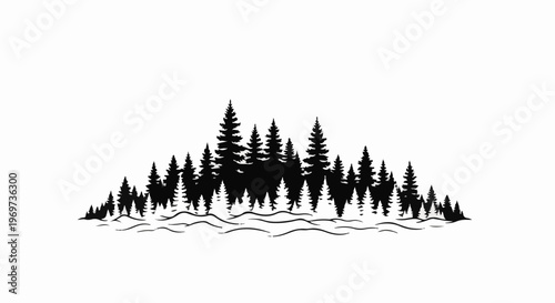 Silhouette of evergreen trees with undulating foreground