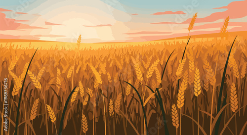 Golden Wheat Field at Sunset Vector Illustration