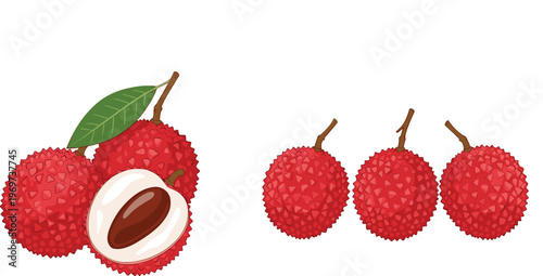 Lychee Fruit Vector Set Featuring Whole and Sliced Illustrations with Vibrant Red Skin and White Flesh for Digital Media and Culinary Designs