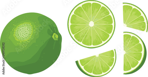 Lime Fruit Vector Set with Whole and Sliced Illustrations Featuring Vibrant Green Color for Digital Media, Websites, and Culinary Designs