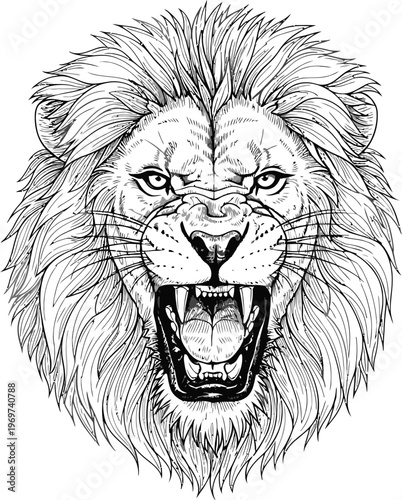 Fierce lion head, angry mane, black and white illustration, roaring animal face