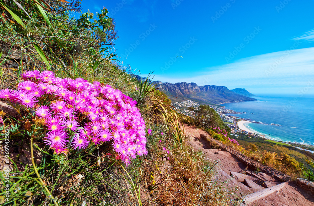 Obraz premium Flowers, paragliding and blue sky on mountain with ocean for environment, ecosystem and tourist activity. Background, space and nature with hiking trail for adventure, explore and tourism attraction
